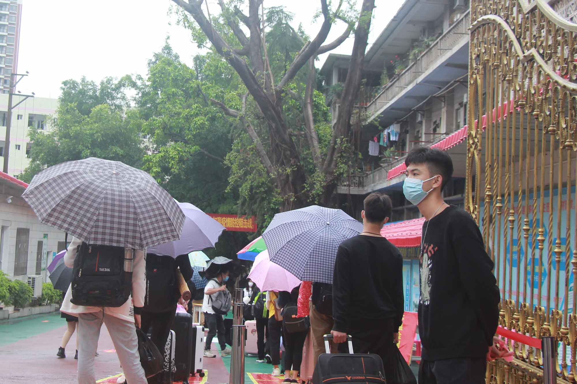 第一批學(xué)生返校記——春風(fēng)十里，不如校園有你！